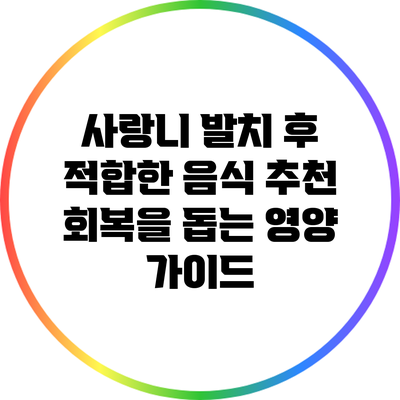 사랑니 발치 후 적합한 음식 추천: 회복을 돕는 영양 가이드