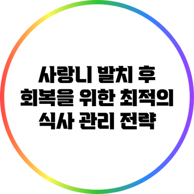 사랑니 발치 후 회복을 위한 최적의 식사 관리 전략