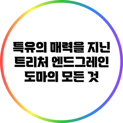 특유의 매력을 지닌 트리처 엔드그레인 도마의 모든 것