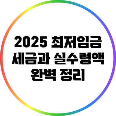 2025 최저임금 세금과 실수령액 완벽 정리