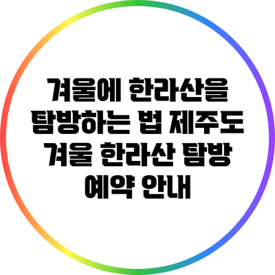 겨울에 한라산을 탐방하는 법: 제주도 겨울 한라산 탐방 예약 안내