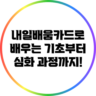 내일배움카드로 배우는 기초부터 심화 과정까지!
