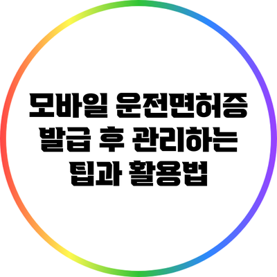 모바일 운전면허증 발급 후 관리하는 팁과 활용법