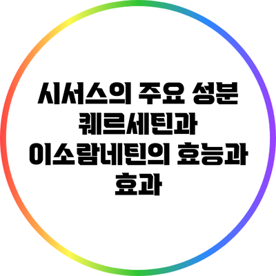 시서스의 주요 성분: 퀘르세틴과 이소람네틴의 효능과 효과