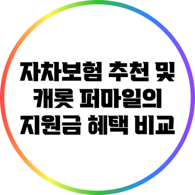 자차보험 추천 및 캐롯 퍼마일의 지원금 혜택 비교