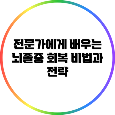 전문가에게 배우는 뇌졸중 회복 비법과 전략