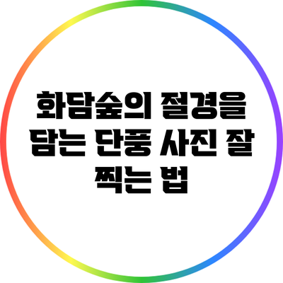 화담숲의 절경을 담는 단풍 사진 잘 찍는 법