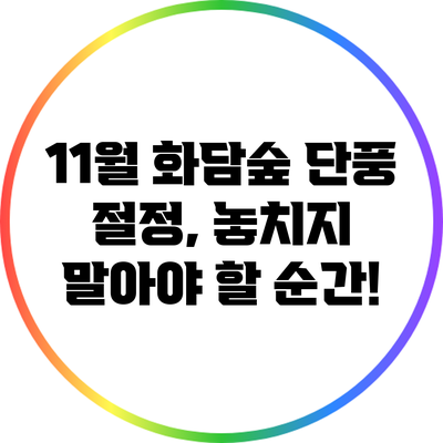 11월 화담숲 단풍 절정, 놓치지 말아야 할 순간!