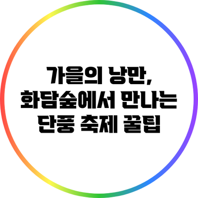 가을의 낭만, 화담숲에서 만나는 단풍 축제 꿀팁