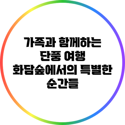 가족과 함께하는 단풍 여행: 화담숲에서의 특별한 순간들