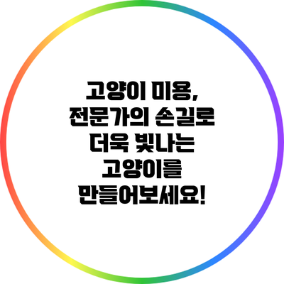 고양이 미용, 전문가의 손길로 더욱 빛나는 고양이를 만들어보세요!