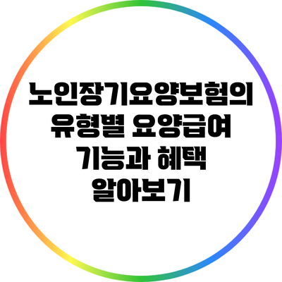 노인장기요양보험의 유형별 요양급여: 기능과 혜택 알아보기