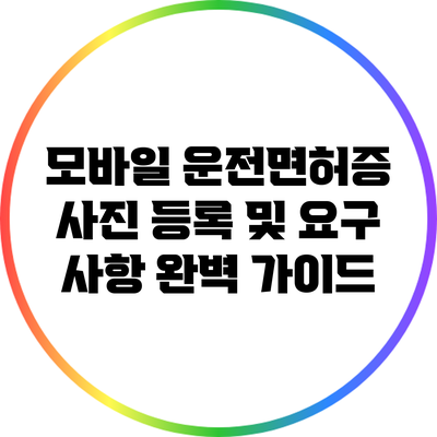 모바일 운전면허증 사진 등록 및 요구 사항 완벽 가이드