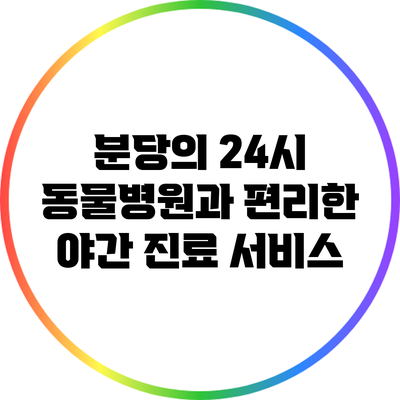 분당의 24시 동물병원과 편리한 야간 진료 서비스