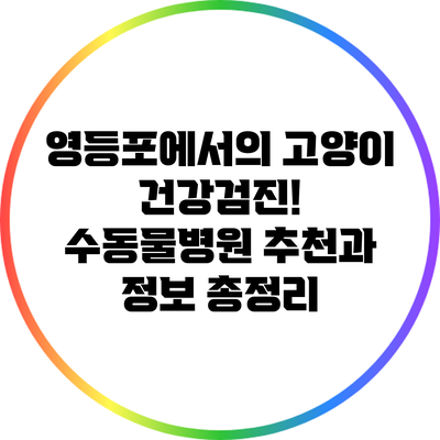 영등포에서의 고양이 건강검진! 수동물병원 추천과 정보 총정리