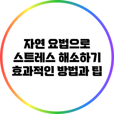 자연 요법으로 스트레스 해소하기: 효과적인 방법과 팁