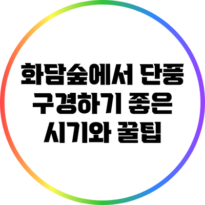 화담숲에서 단풍 구경하기 좋은 시기와 꿀팁