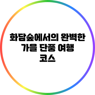 화담숲에서의 완벽한 가을 단풍 여행 코스