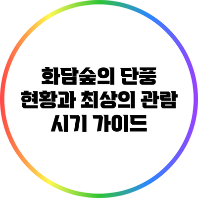 화담숲의 단풍 현황과 최상의 관람 시기 가이드