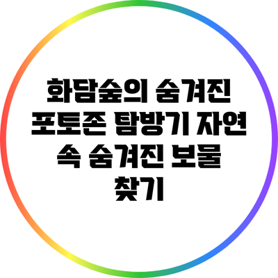 화담숲의 숨겨진 포토존 탐방기: 자연 속 숨겨진 보물 찾기