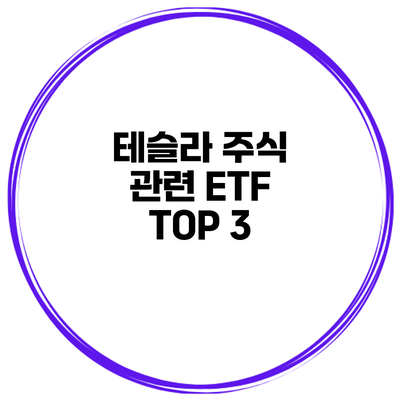 테슬라 주식 관련 ETF TOP 3