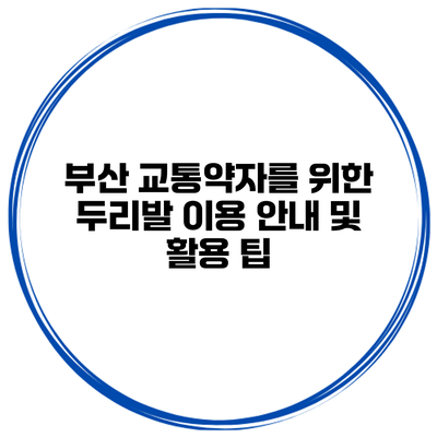 부산 교통약자를 위한 두리발 이용 안내 및 활용 팁